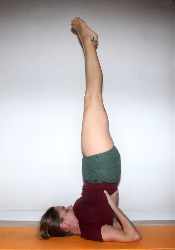 Detalles del estudio